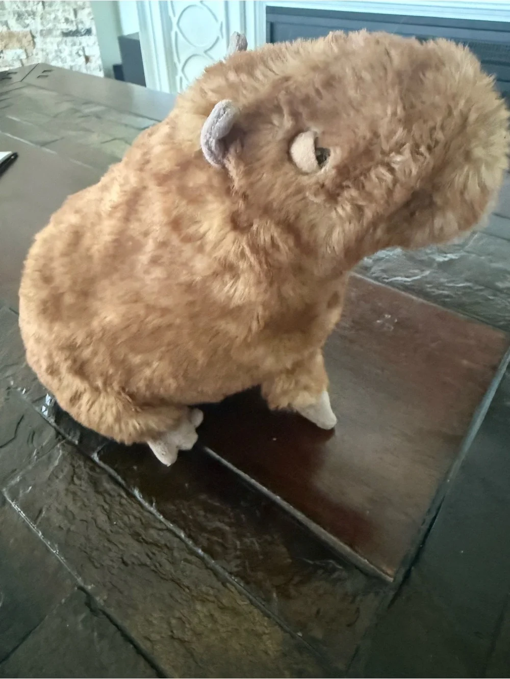 Jellycat Tan and Dark Brown Capybara Plush - Picture 7 of 11